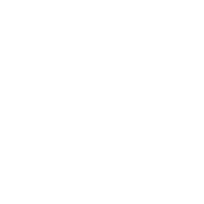 Nikon_white.png