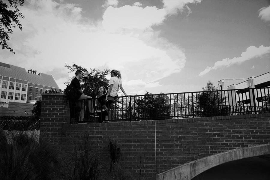 onyxgallery_0016_bridge.jpg