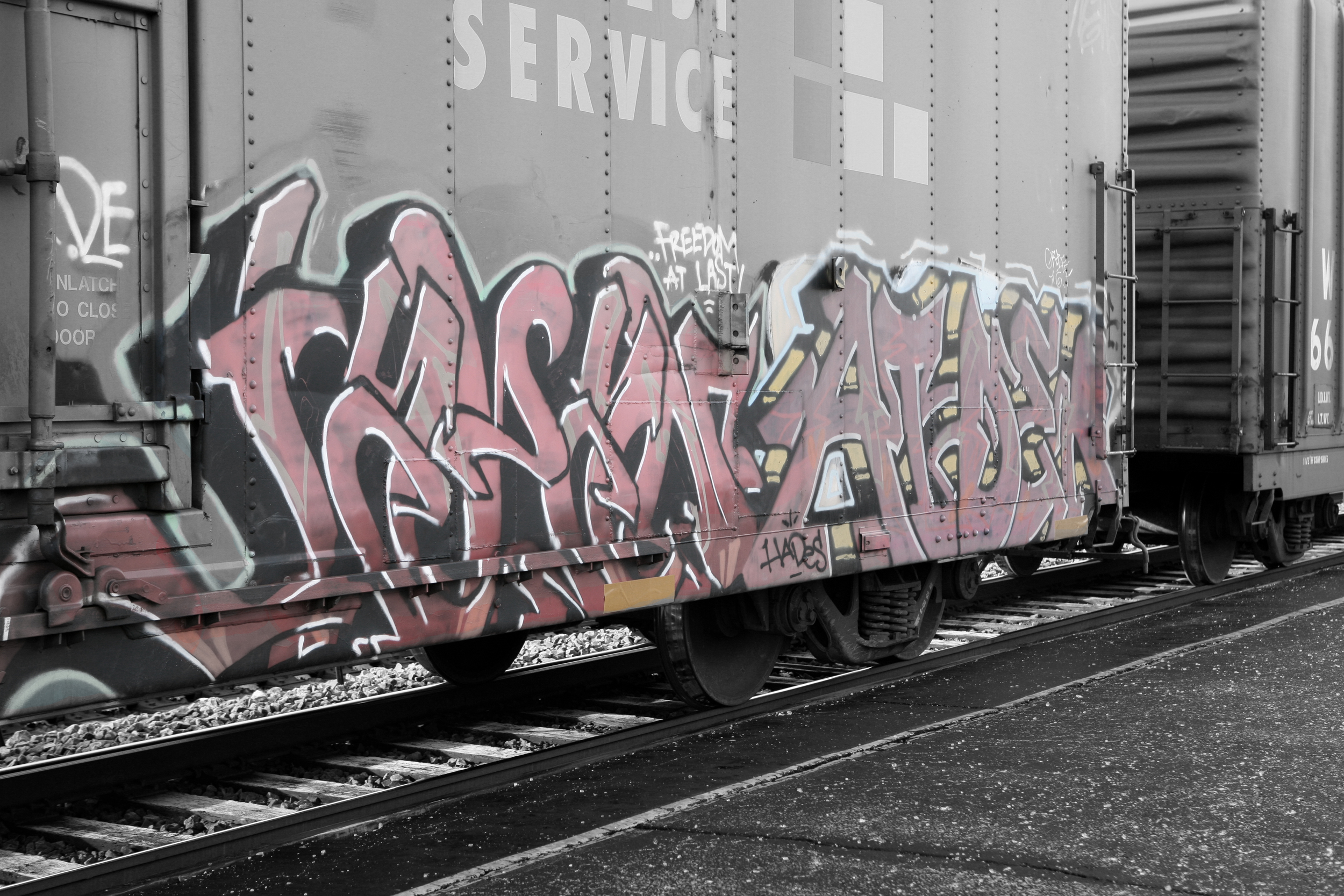 LEECOLOR_8766.jpg