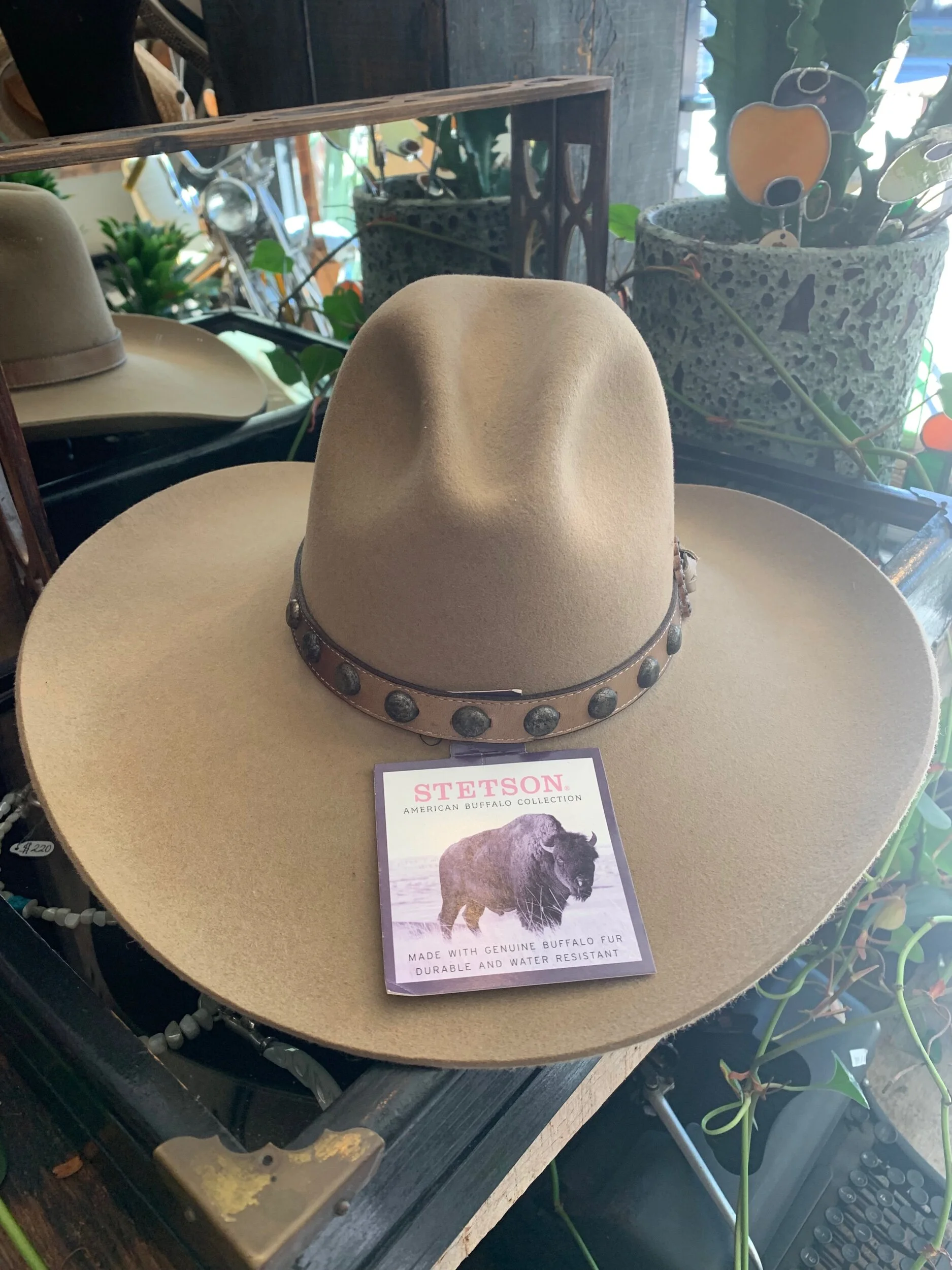 1C68B757-5D1B-4875-BA23-400F03FBB594