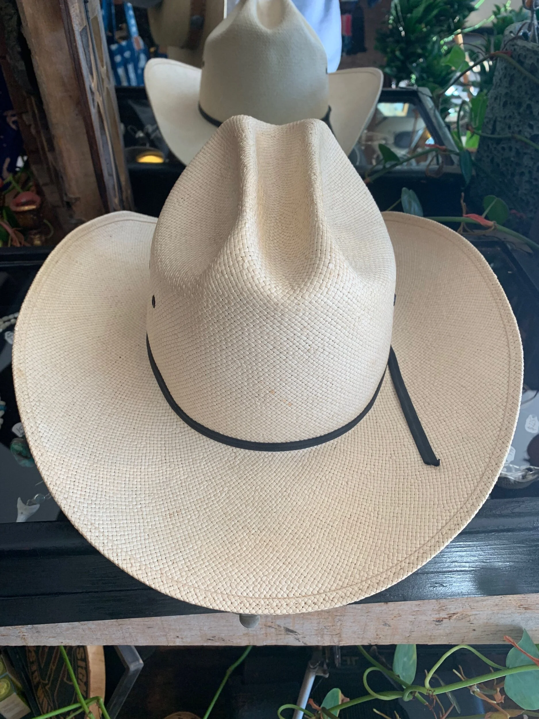 73650B8F-0173-4800-91C8-E0A12C5853AD