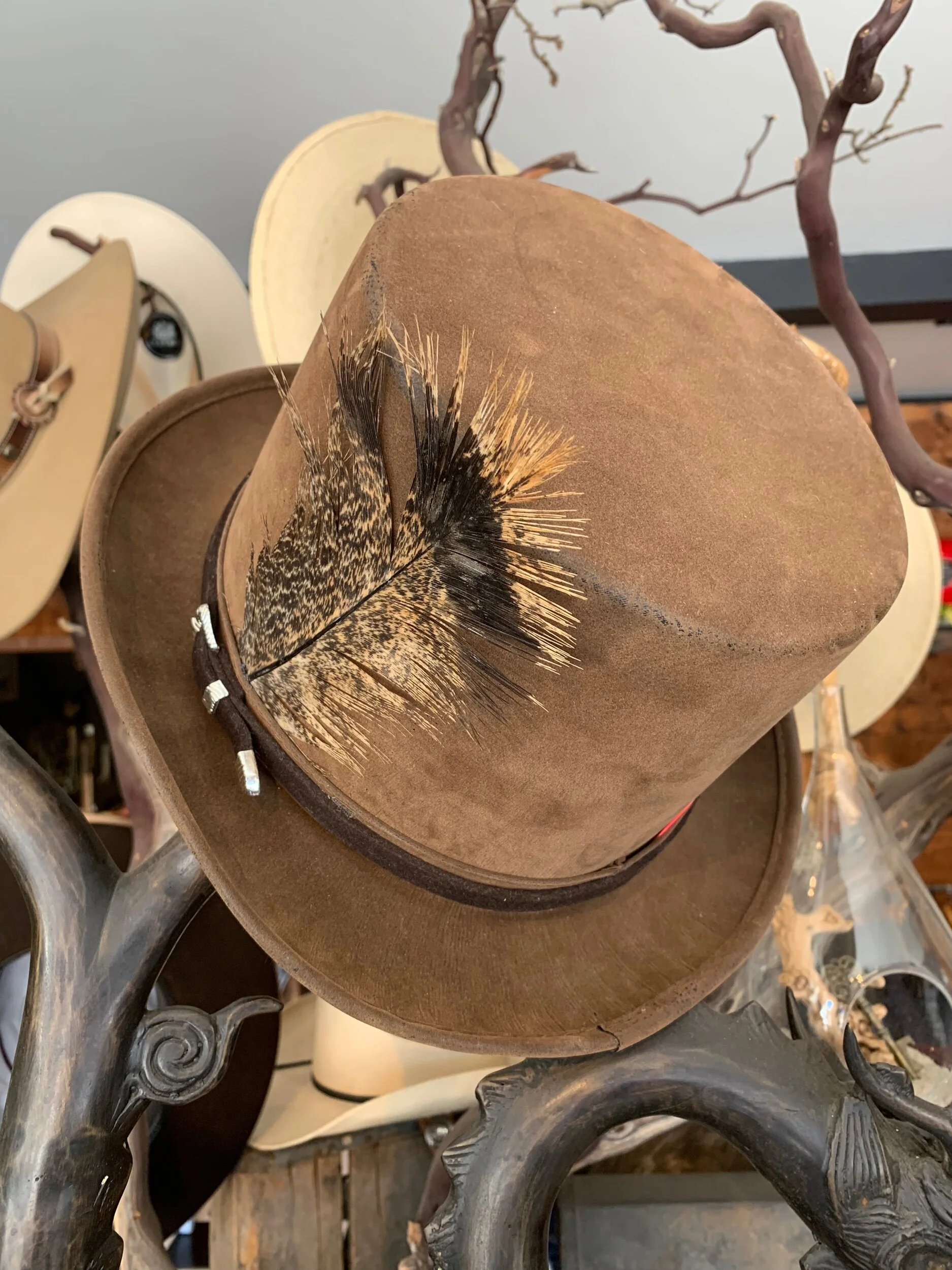 C6413075-BF33-45DD-A559-EE6D9B96C748