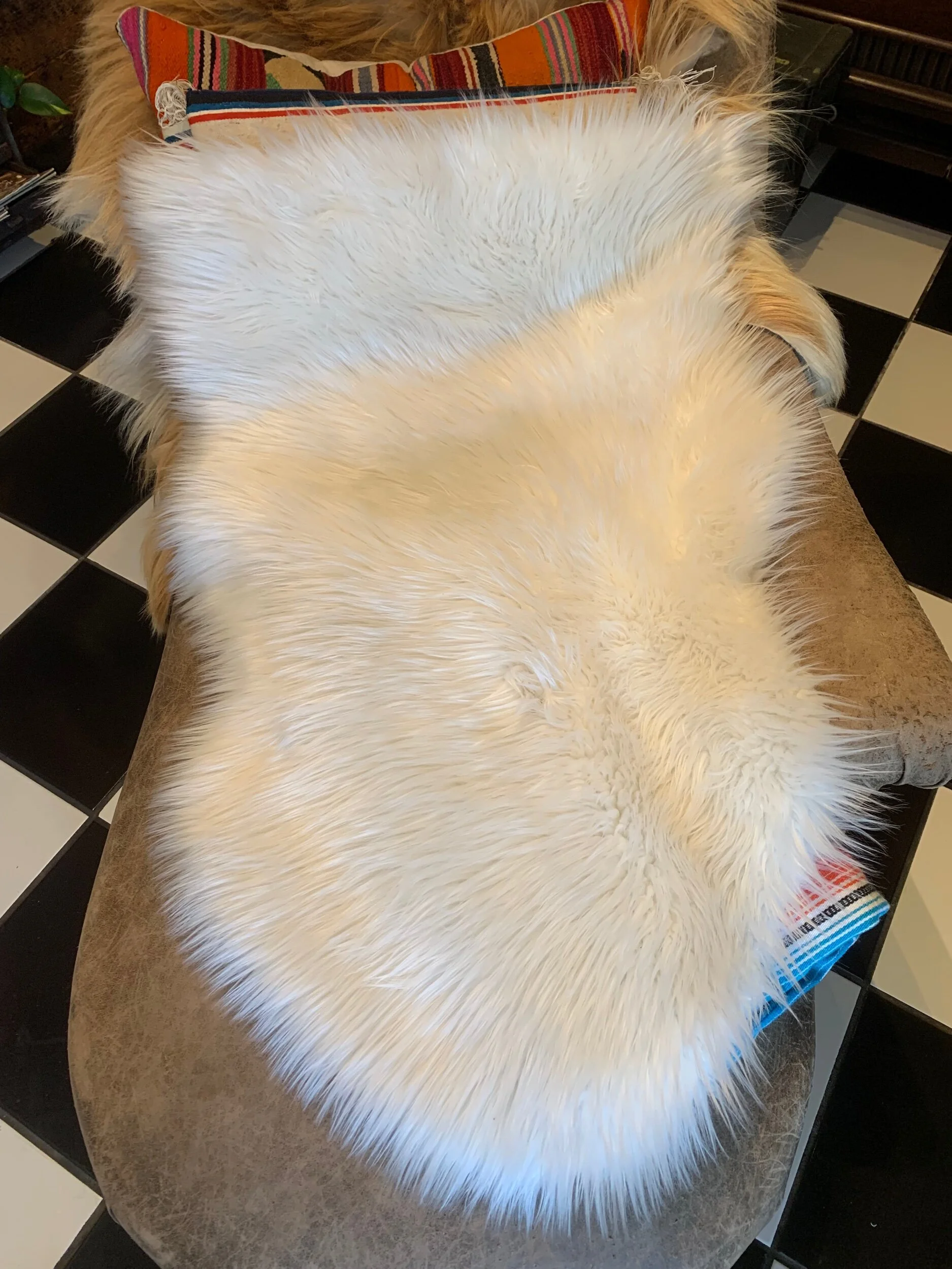 34466148-7D85-4740-B2D0-CABE42A488FC