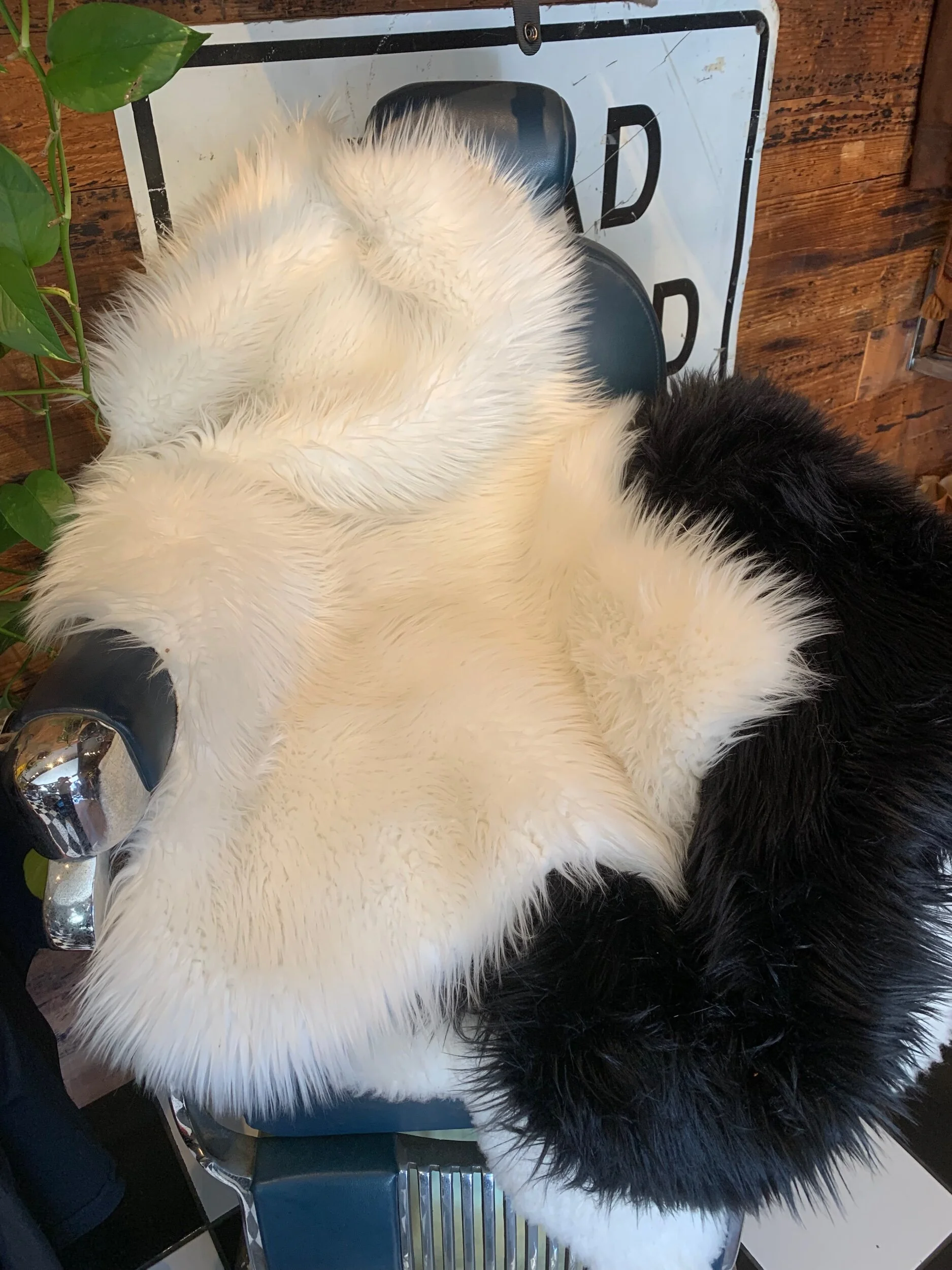 35588206-73E9-420C-B2C1-8CFE7F08B519