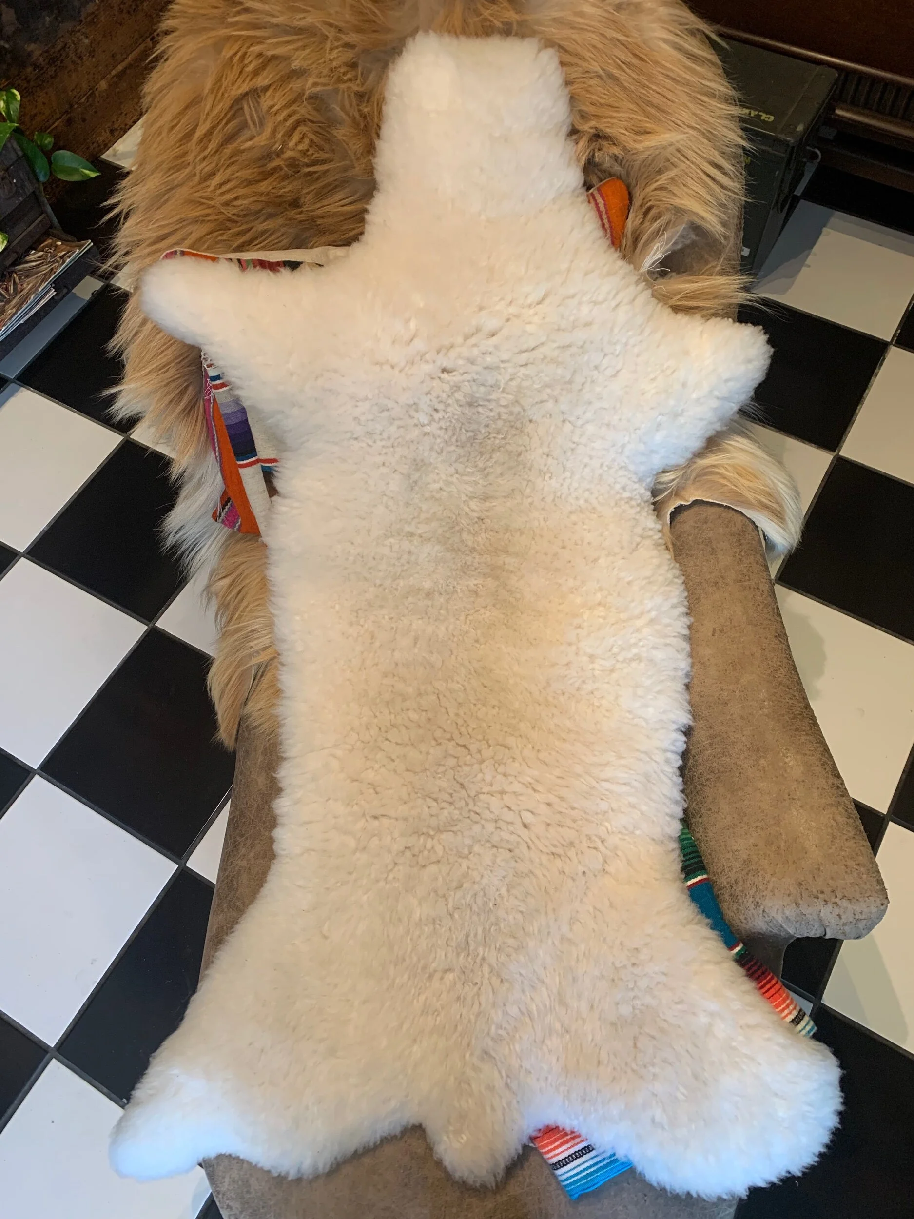 DED3F01F-75C2-43ED-B0D5-6B024AF50409