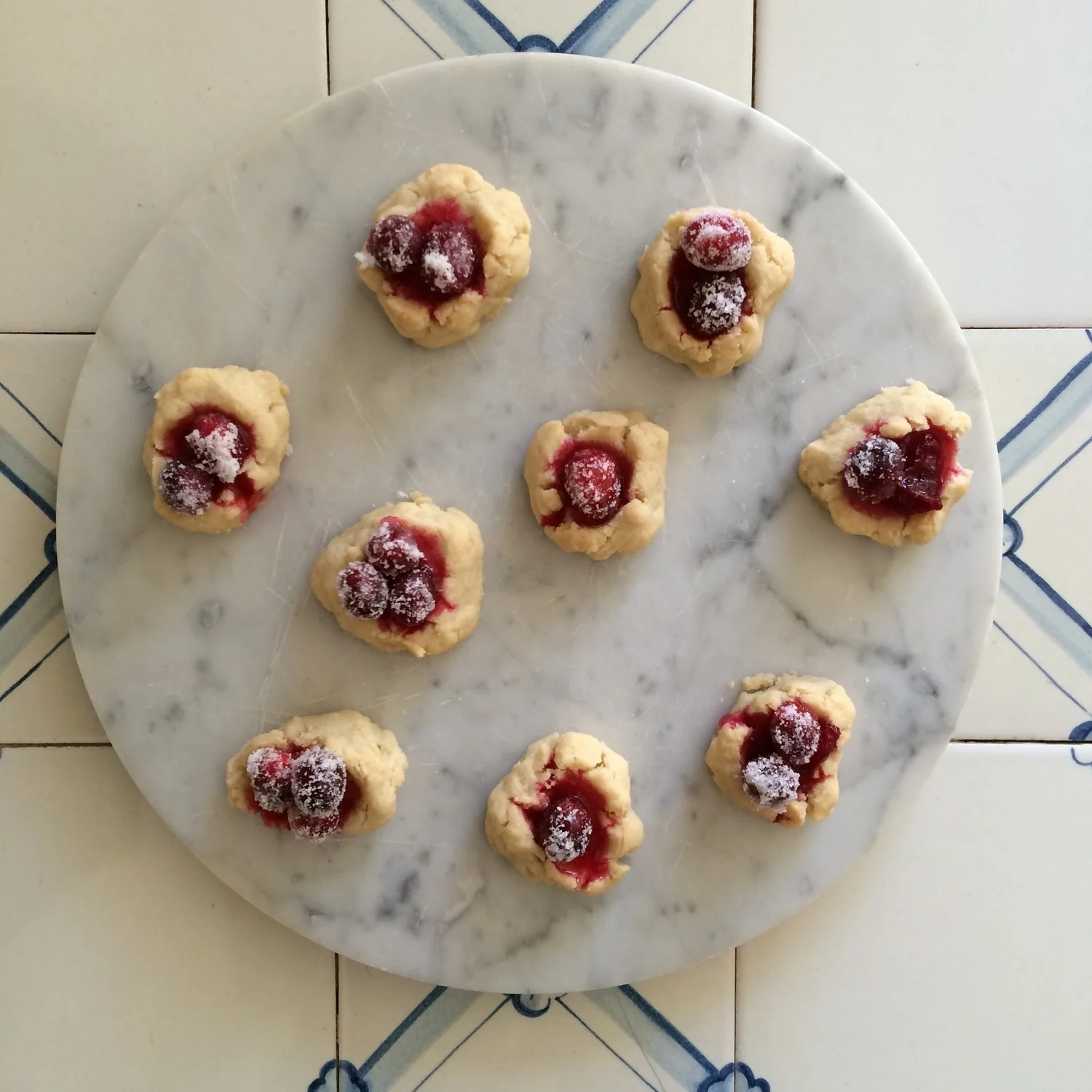 Parmesan Shortbread with Cranberries.jpg