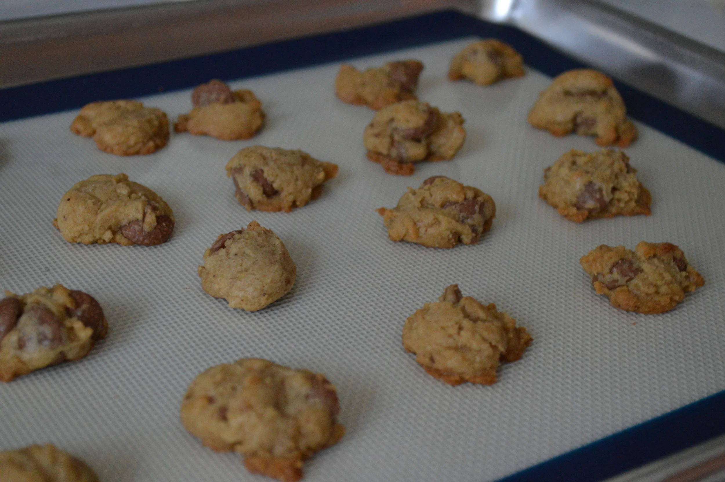 Bite-sized chocolate chip cookies