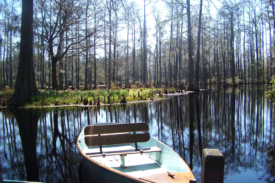 Everglades Boat