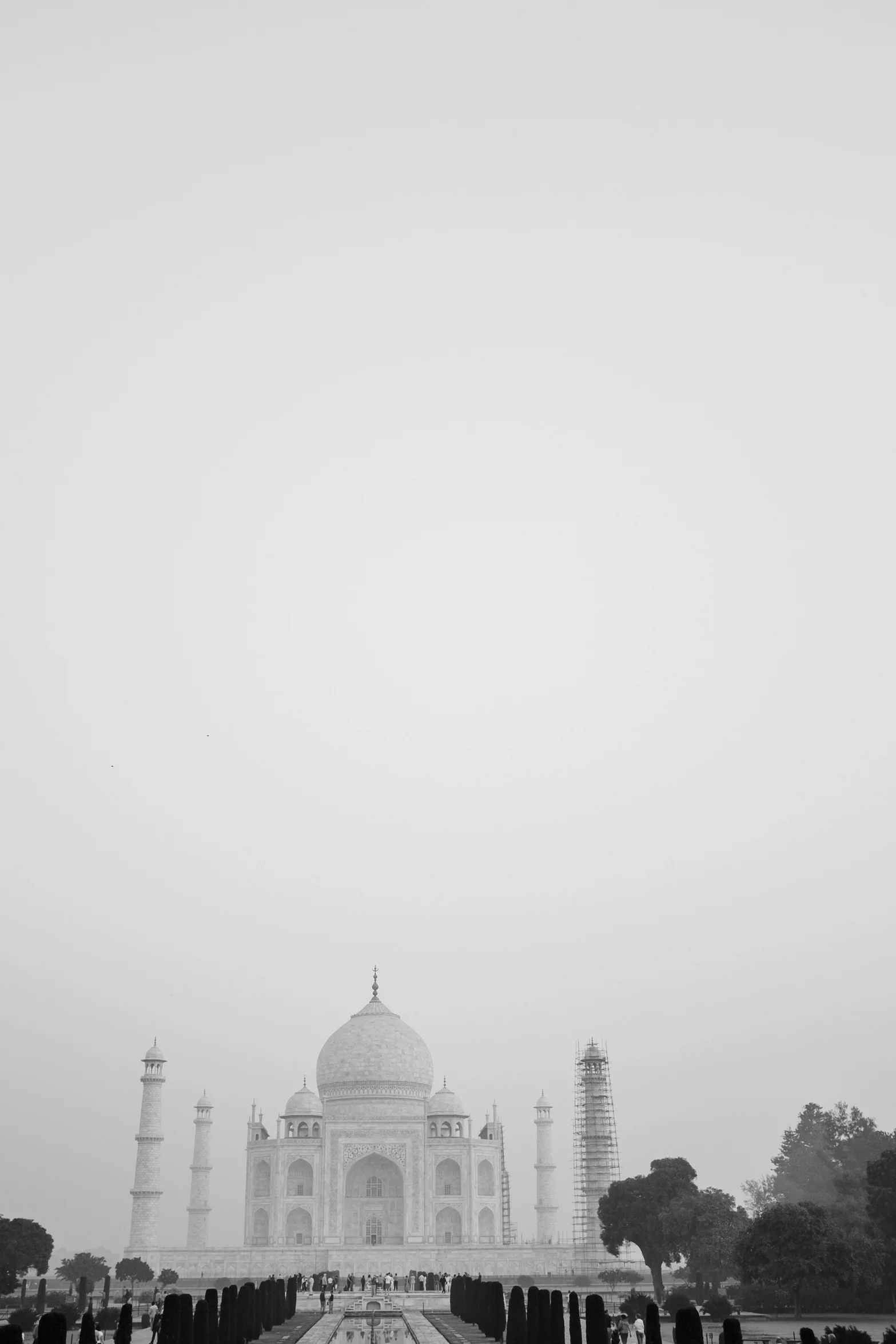 INDI3493.jpg