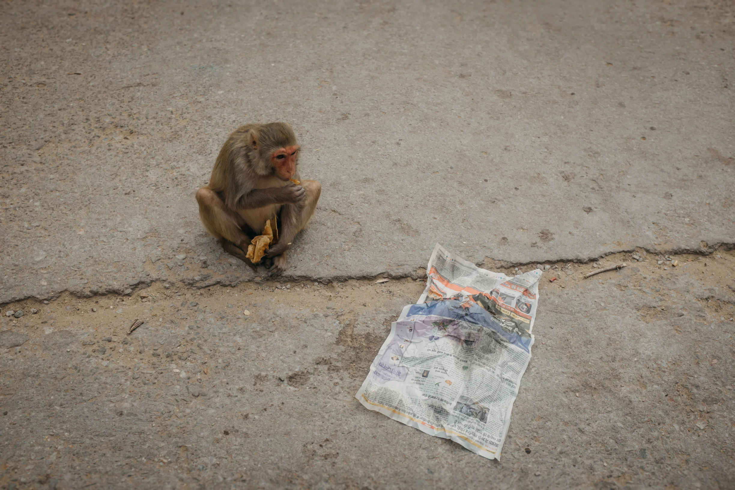 India stock photography