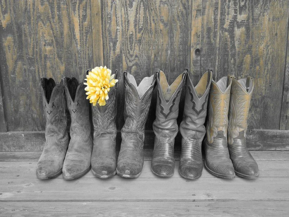 Cowboy Boots.jpg