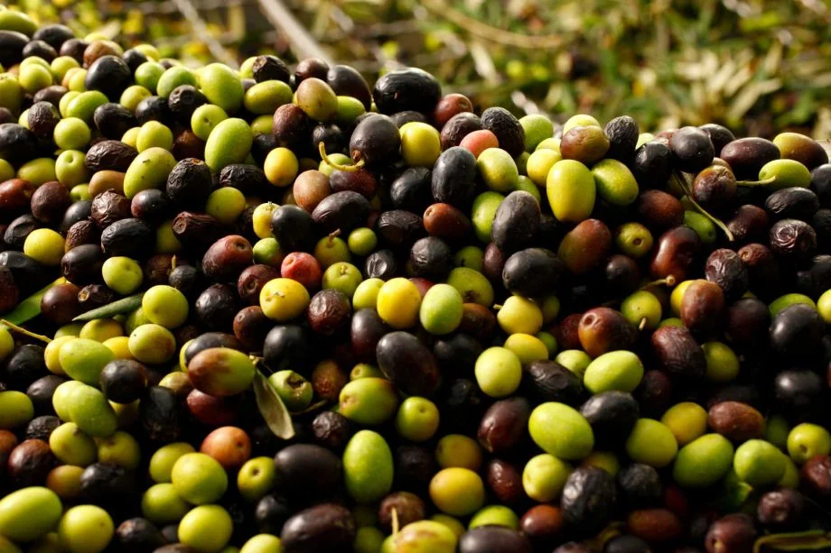 Food and the drought, freelancer connects the dots