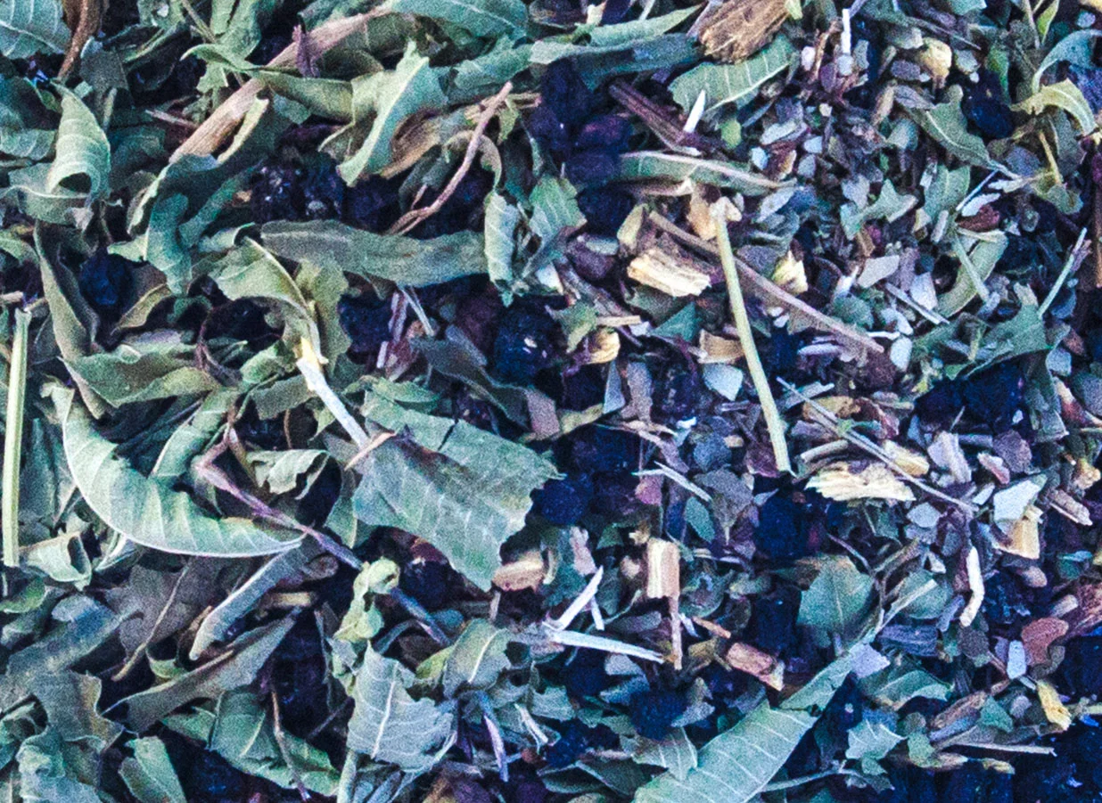 _0007_Immune loose.jpg