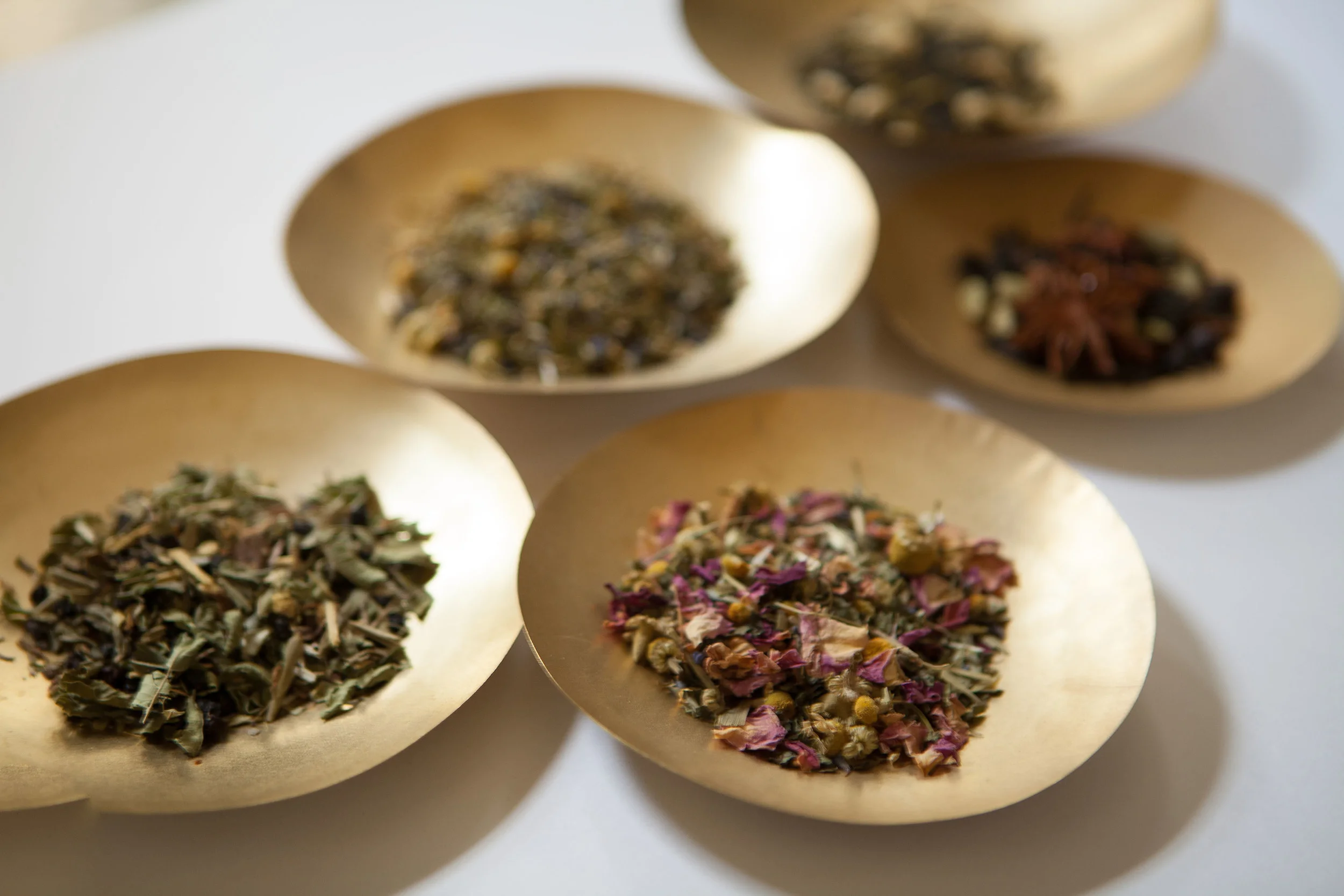 Matka Organics-49.jpg