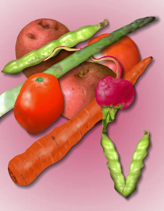 V/Vegetables Illusion, 1998 Digital Painting