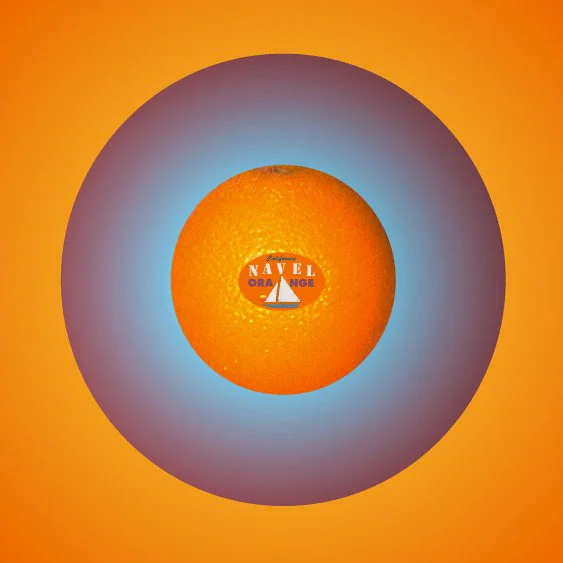 O/Navel Orange, 1995 Digital Painting