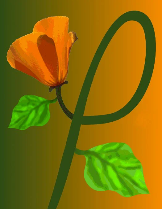 P/Poppy, 1997 Digital Painting