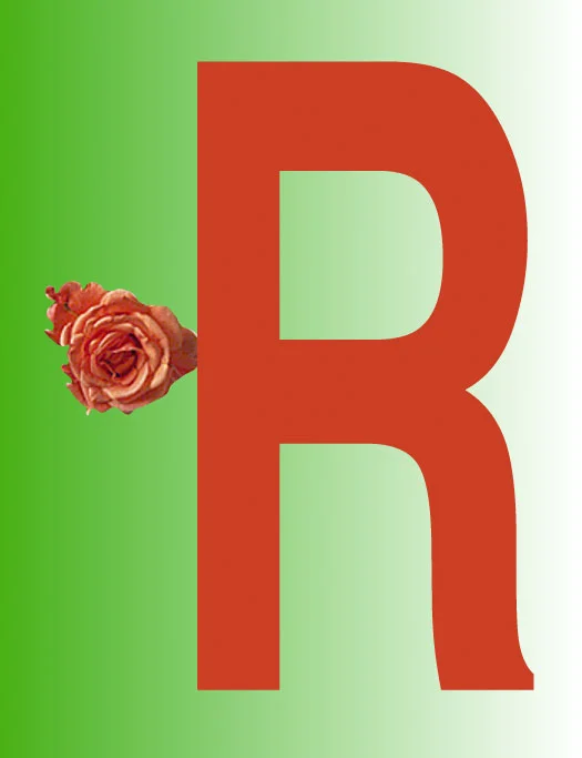 R/Rose, 1998 Digital Painting