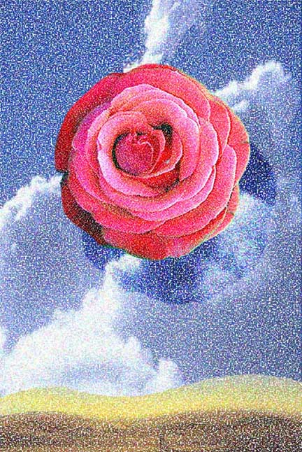  Rose in Landscape, 2004  Digital Painting 