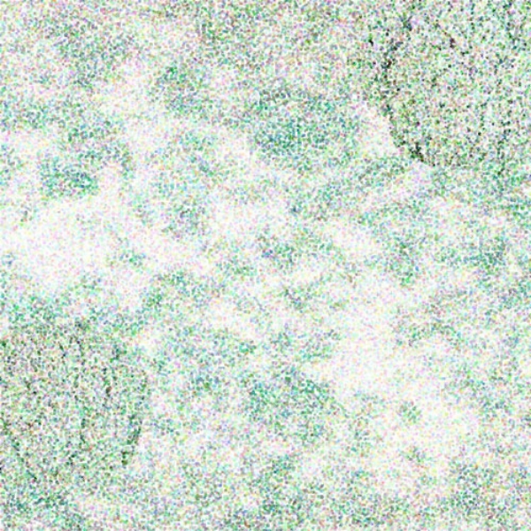 Broccoli Clouds 2, 2001  Digital Painting 