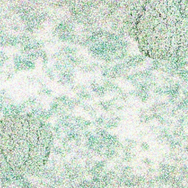 Broccoli Clouds 2, 2001 Digital Painting