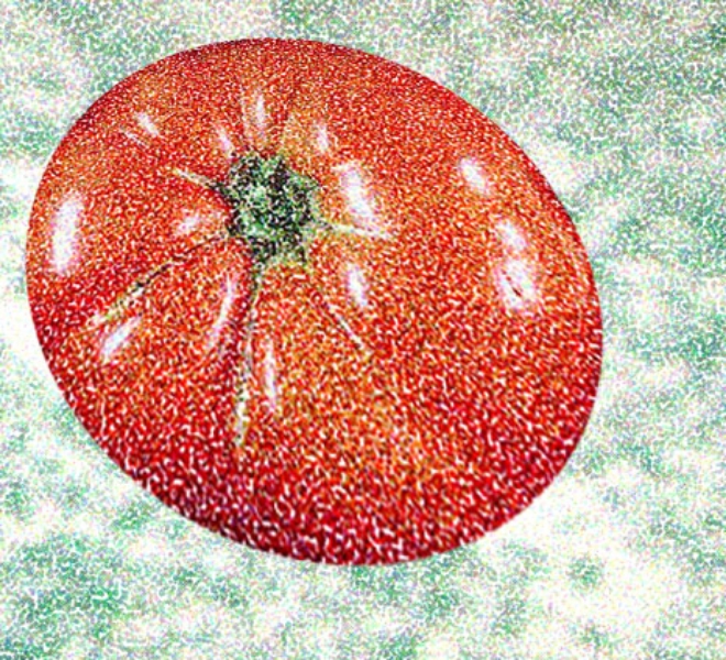  Tomato Elipse in Space, 2003  Digital Painting 