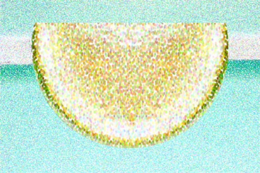  Lemon 1/2 Circle  Digital Painting 