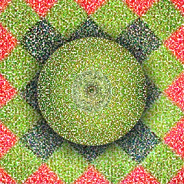  Lime and Pattern, 2004  Digital Painting 