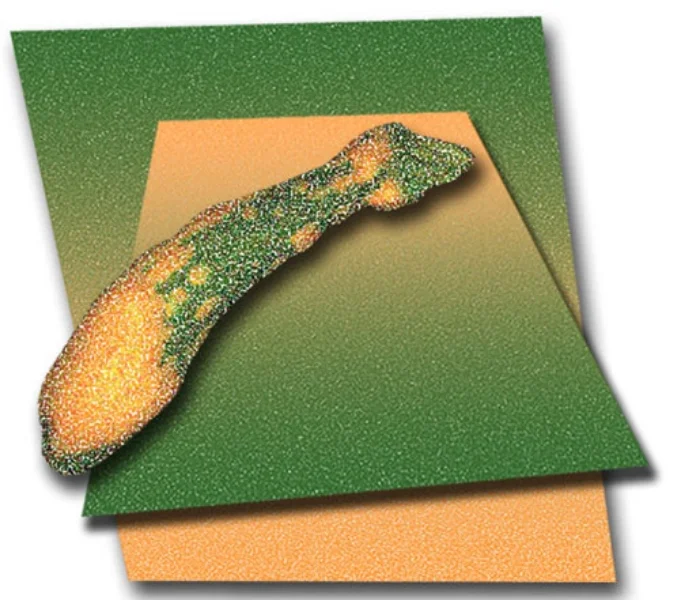 Zucchini in Space, 2004 Digital Painting