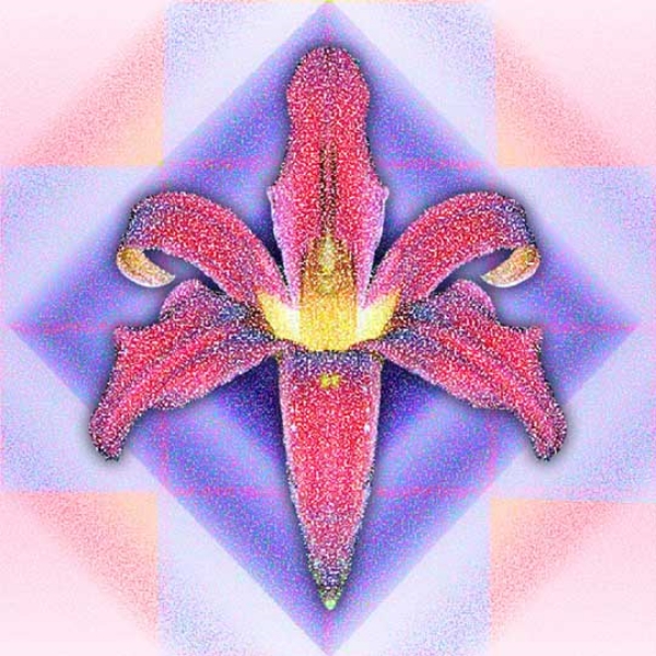  Diamond Lily, 2004  Digital Painting 
