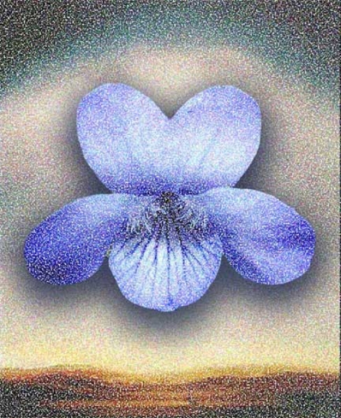  Pat, 2004  Digital Painting 