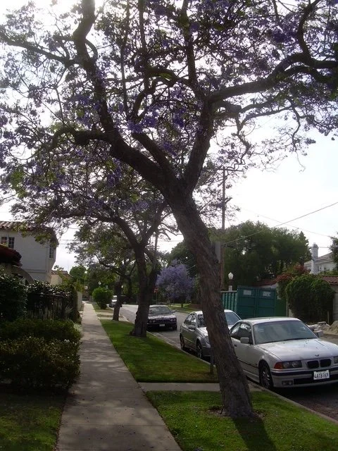 DSCN0971.JPG