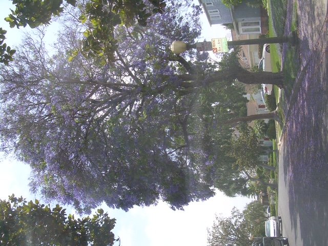 DSCN0979.JPG