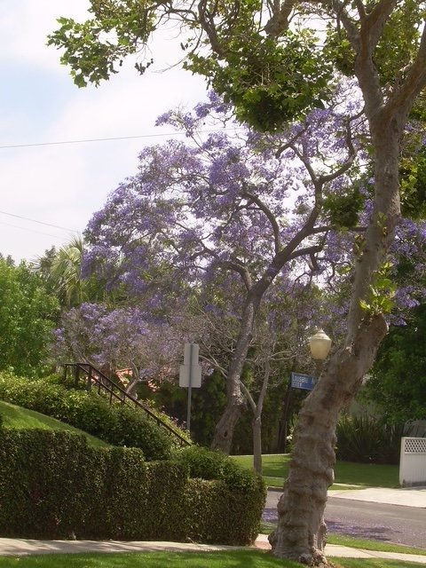 DSCN0980.JPG