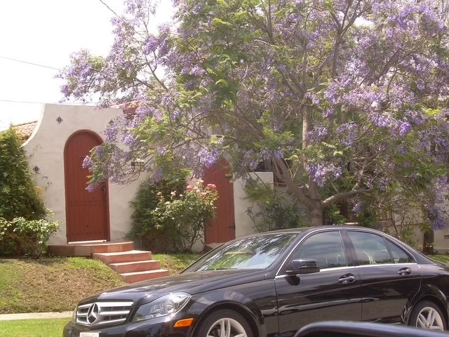 House across the street.JPG