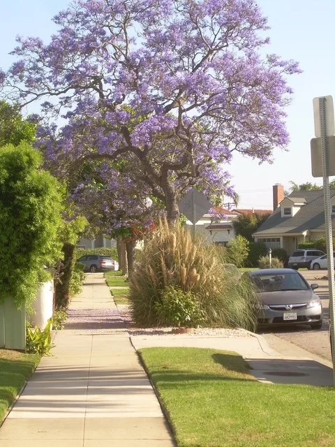 In pretty area.jpg