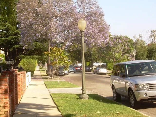 Street lamp on west LA street.JPG