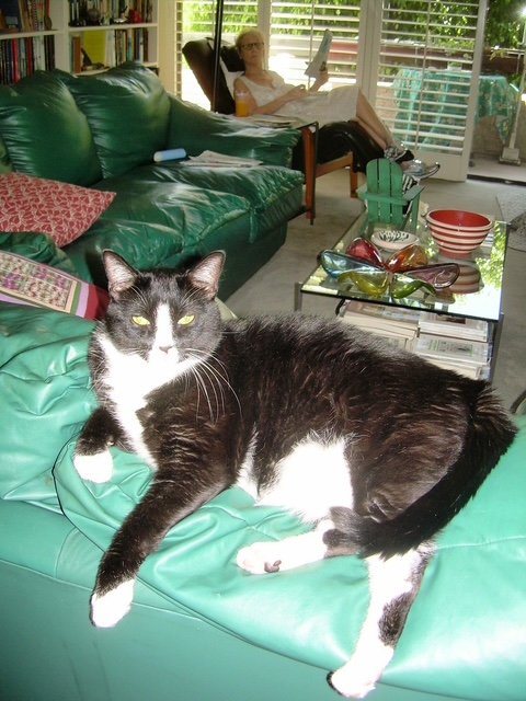 Chipper and Linda (photo taken in 2006)