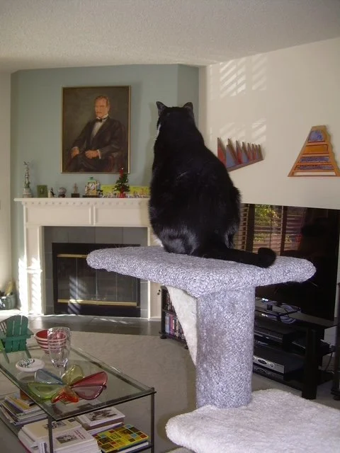 Peppi looking at Lawrence Olivier painting above fireplace