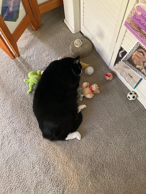 Peppi with toys