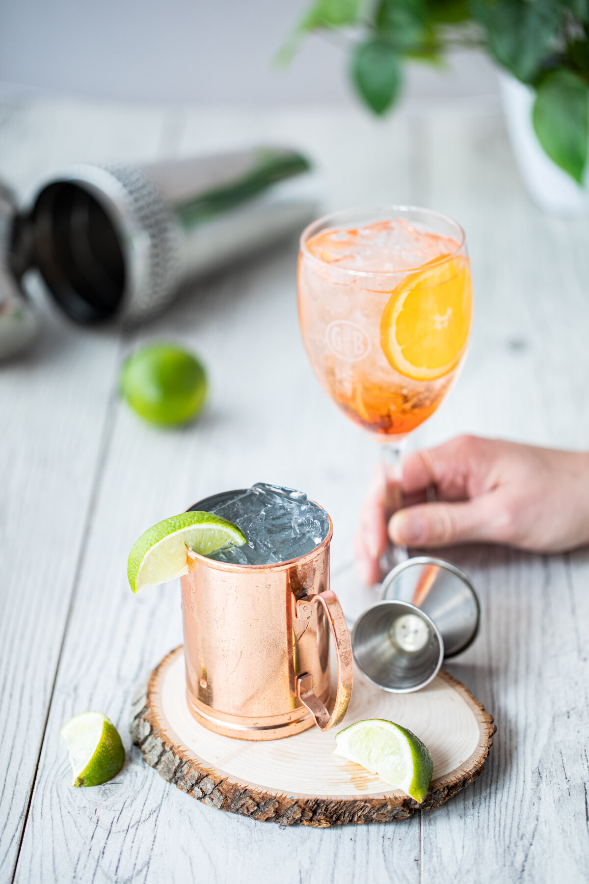 BeerGarden - Cocktail - 72DPI.jpg