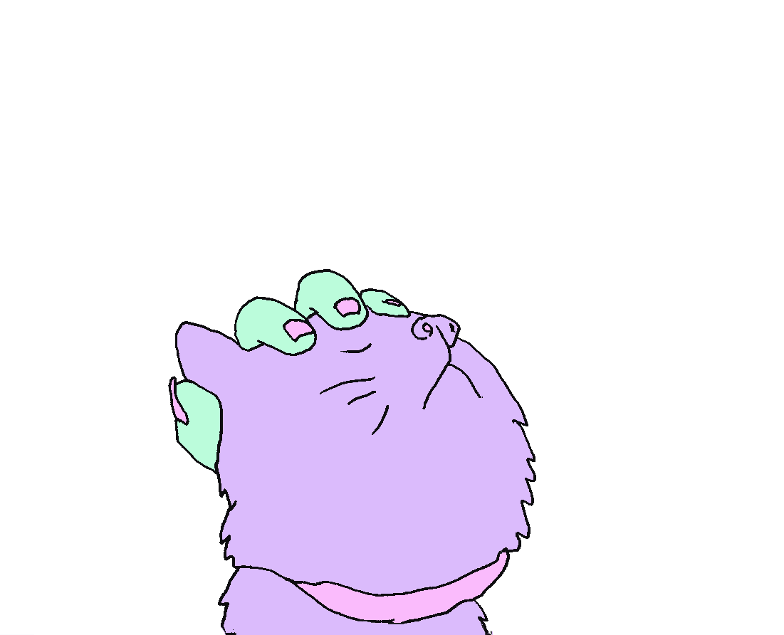 cat.gif