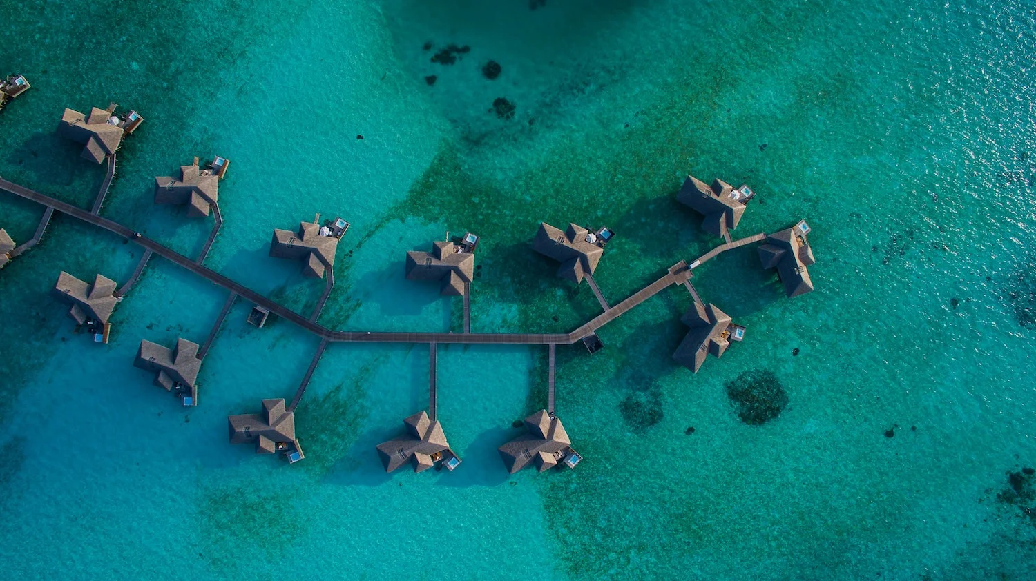 Eco-Luxe-Retreats.jpg