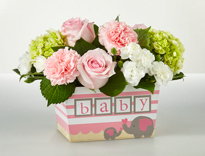 FTD Baby Girl Box Illustration to Product Design. 2019