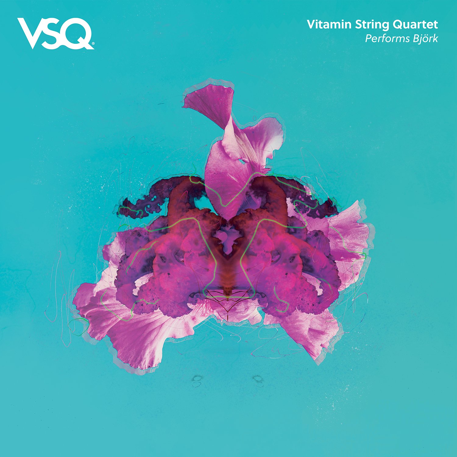 Vitamin String Quartet performs Bjork 