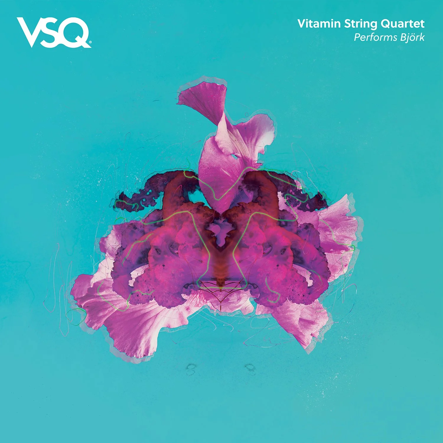 Vitamin String Quartet performs Bjork