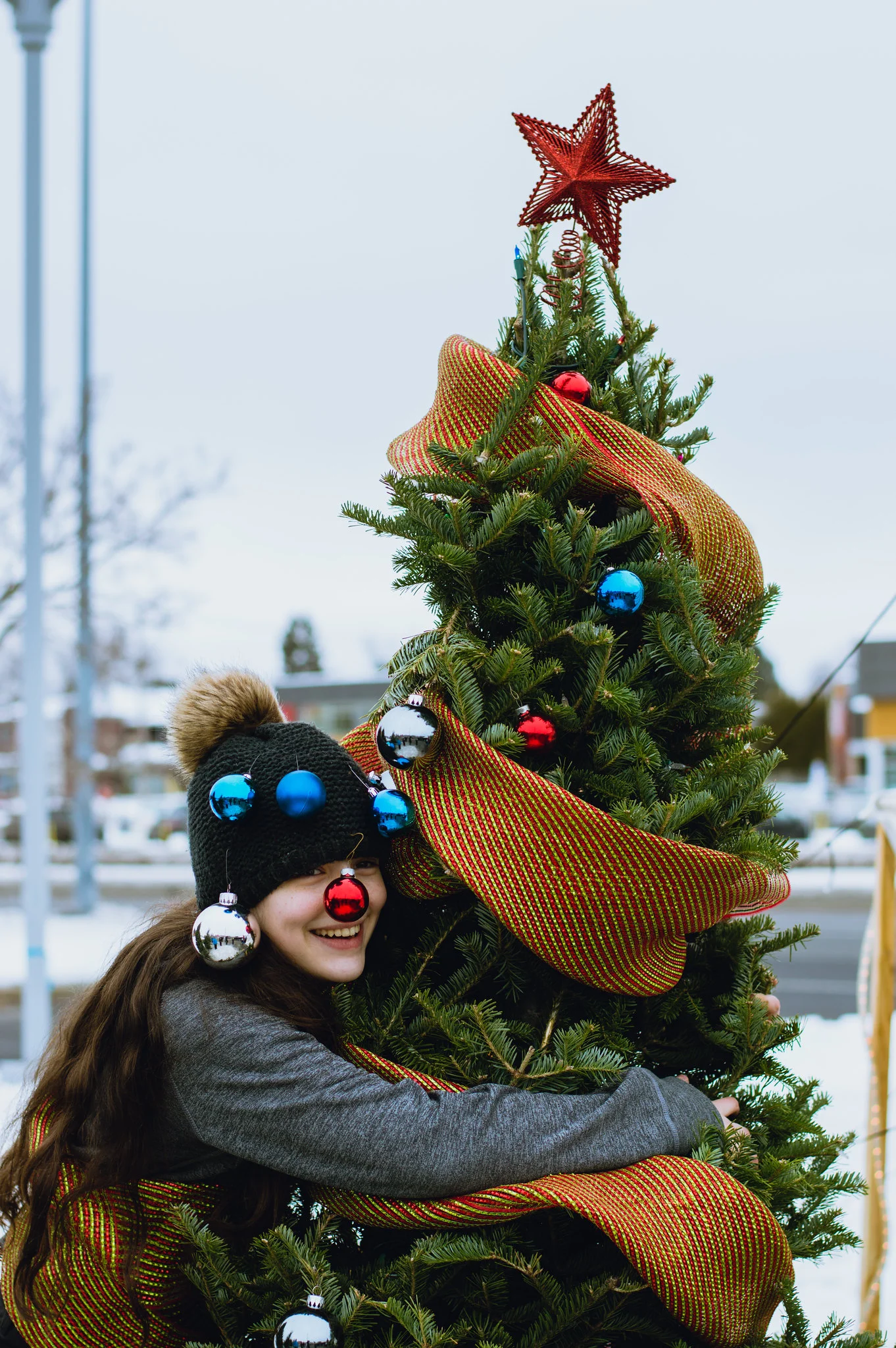 01_image_sapins_01.jpg