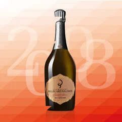 ELISABETH SALMON 2008 format carré instagram.jpeg