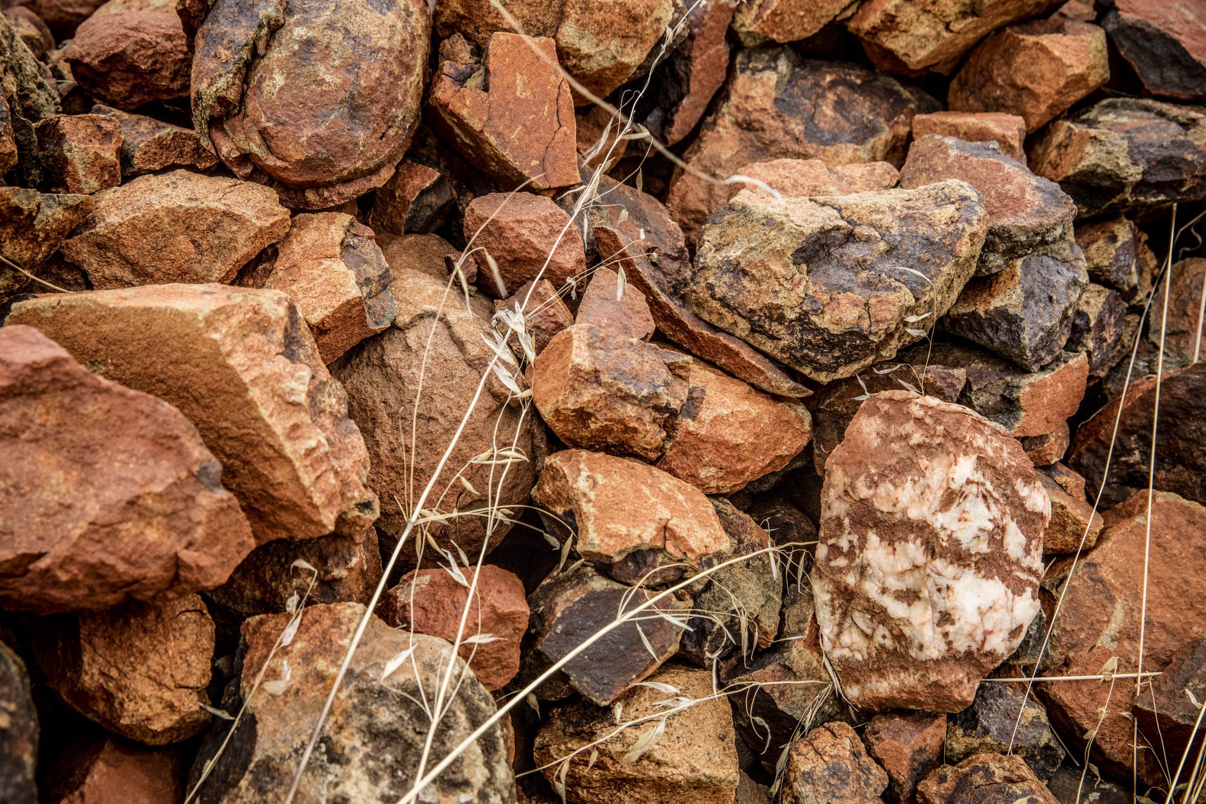 Tellurian ancient soils.jpg