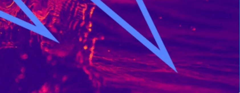 ACM National Online Conference 2021